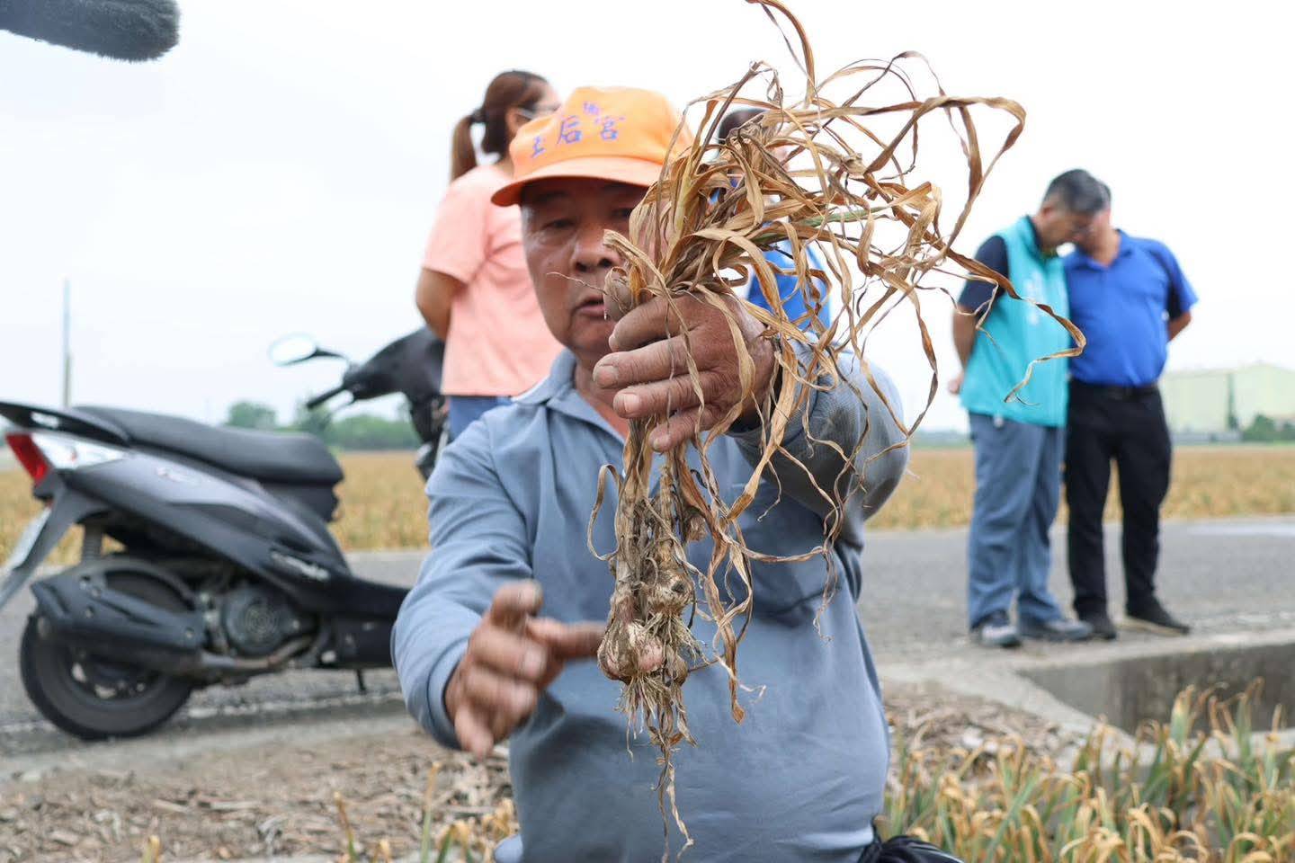 美方文件揭露我方對美國農產品不設防　賴政府回應批評避重就輕
