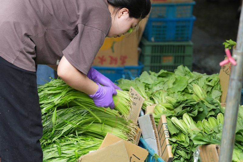 颱風過後因災損，菜價上漲約1個月，資深媒體人王尚智感嘆，青菜不是吃不起，而是買不下手。圖為7月26日台北市北投區市場菜販26日在攤位整理葉菜類商品。圖/中央社