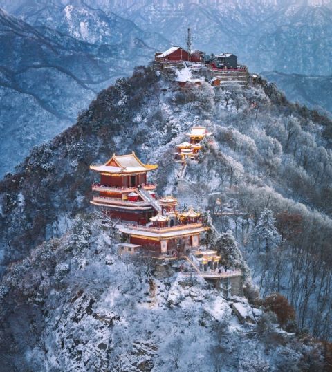 五台山於立冬（11月7日）迎來今冬首場降雪，松柏掛滿雪霜，古建築在雲霧與白雪中若隱若現。圖/取自財狗m微博