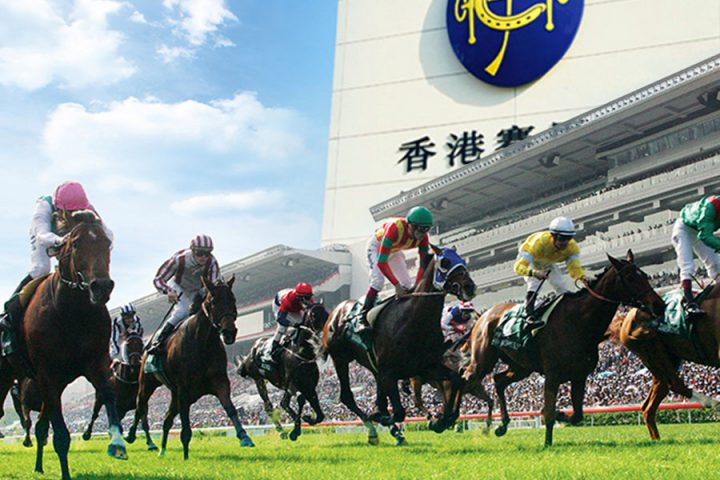 【梅花評論】賀新年    馬年談賽馬