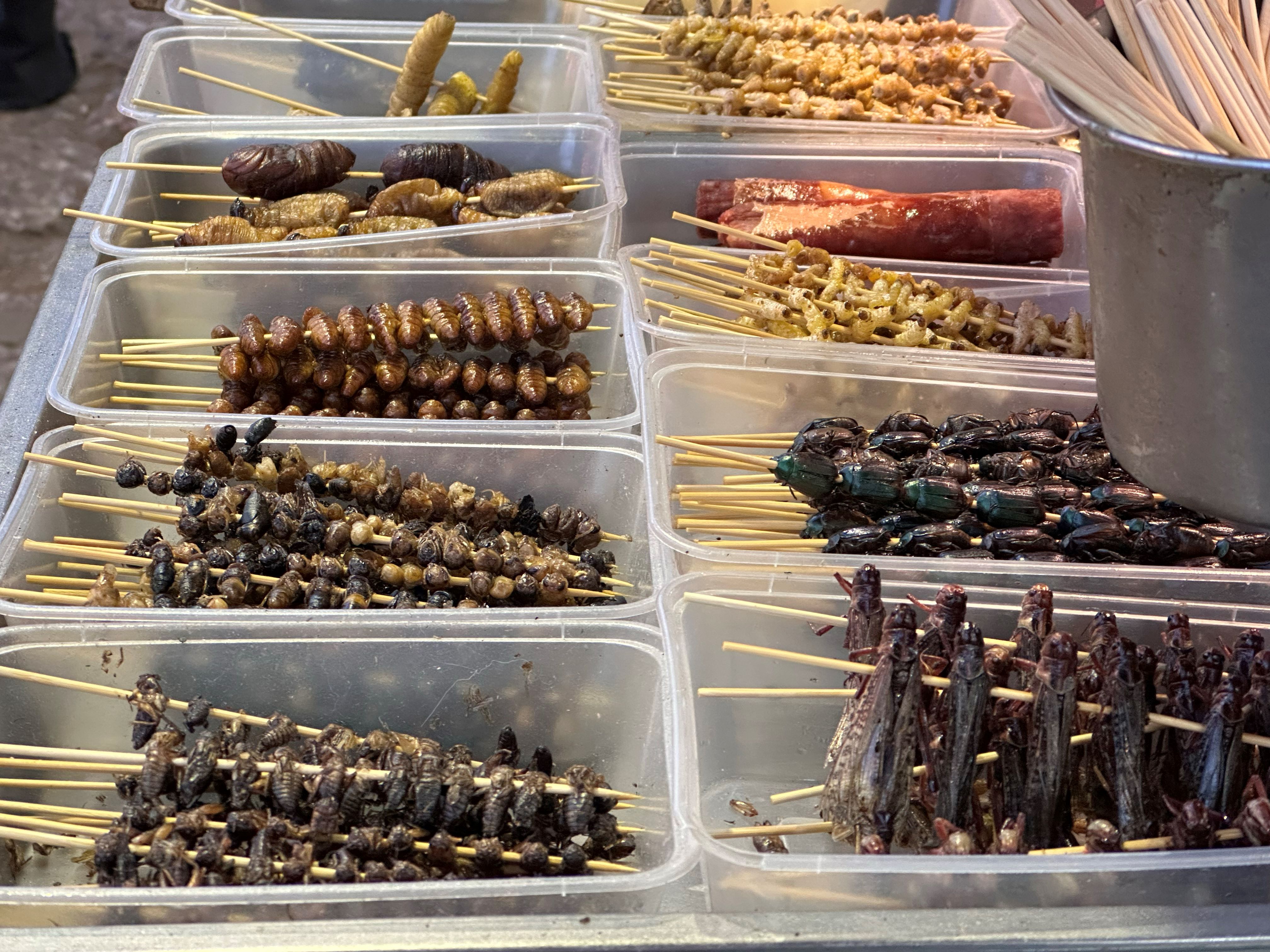 各種山裡的珍奇野味就等著膽大的你來嘗嘗風味。圖/陳思豪攝