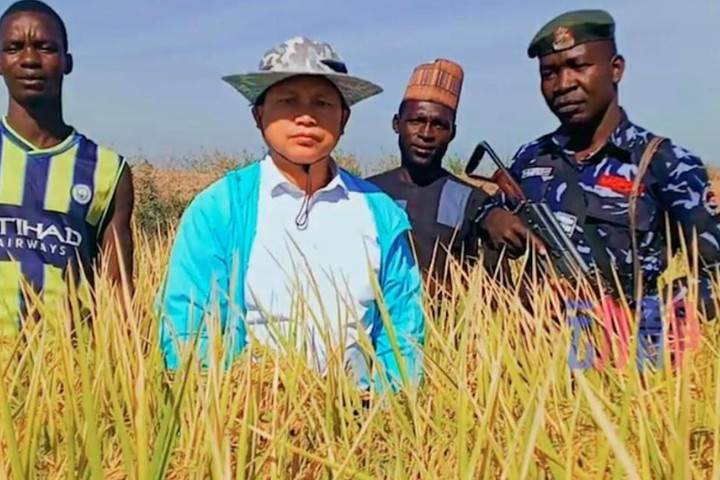 【有片】從質疑到持槍保護！貴州大叔讓馬拉威稻穀翻三倍