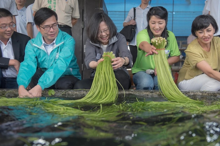 喊陌生人名字小孩就止住哭鬧 　釣出本尊蔡英文意外回應