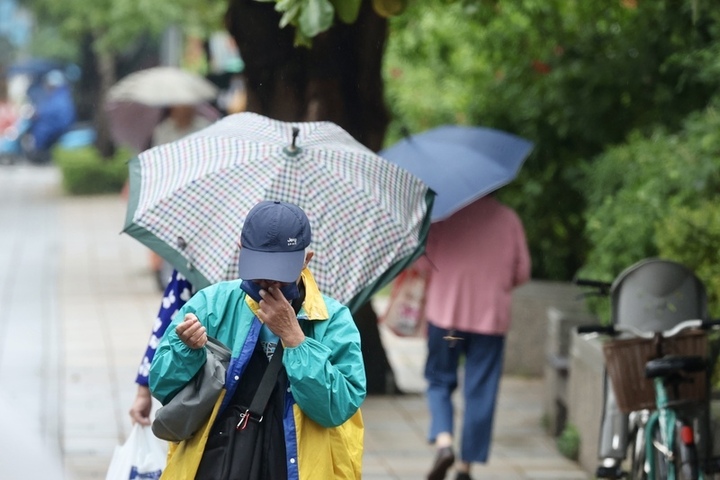 東北季風水氣多北宜花濕涼　周四北部高溫回升