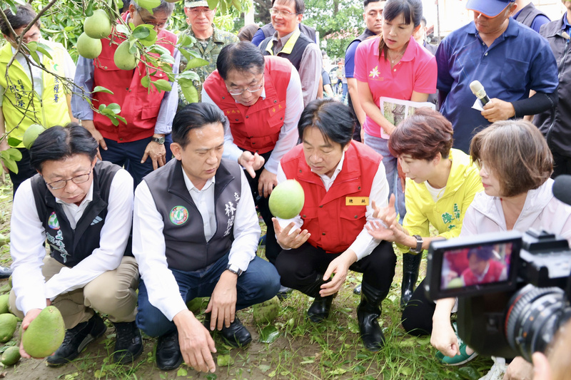 颱風丹娜絲造成雲嘉南地區多處災情，總統賴清德（前右3）8日到台南市麻豆區了解文旦果園落果情形。圖/中央社