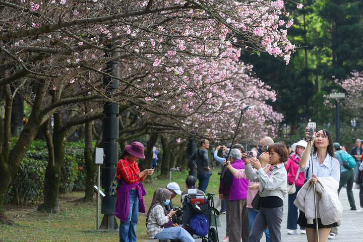 未來一周先暖後涼　周末再迎鋒面防陣雨