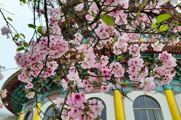 鋒面接近北台天氣不穩定　南部四縣市高溫黃色燈號