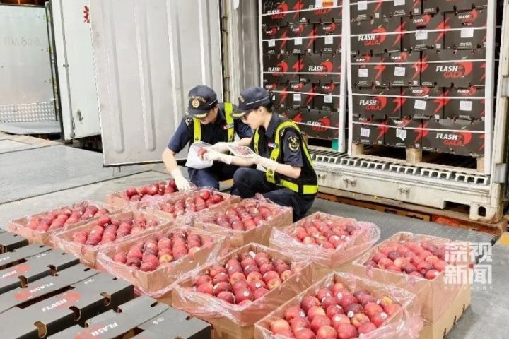大陸對非洲建交國全面零關稅　南非這水果衝第一