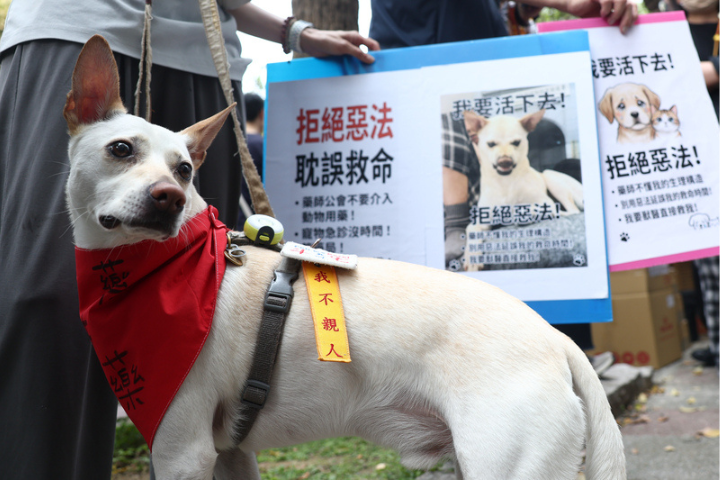 農業部搶功惹怒衛福部？防檢署宣布寵物用藥新制註銷　遭批豬隊友
