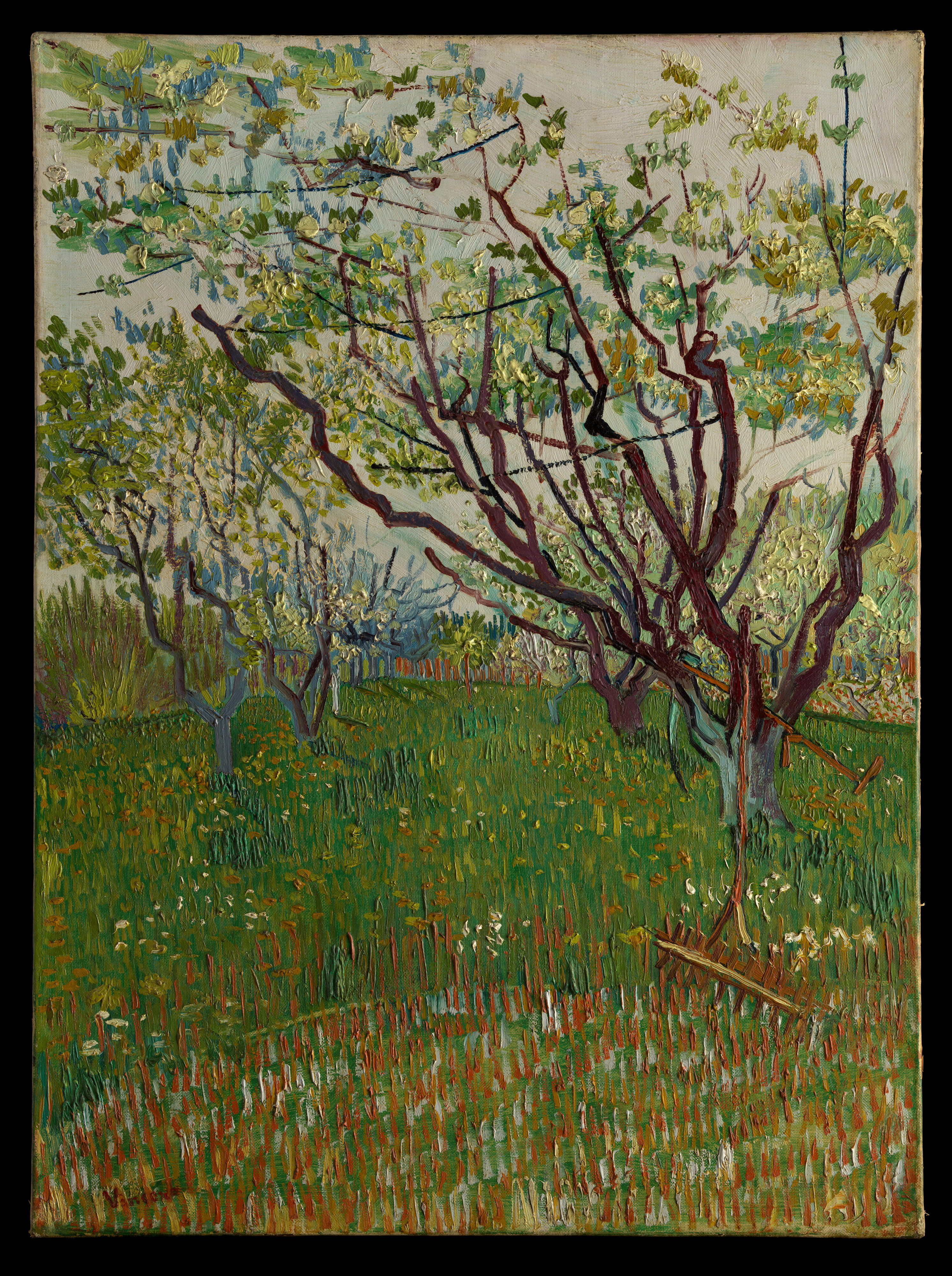 文森梵谷_花朵盛開的果園_1888 _圖/故宮提供 © The Metropolitan Museum of Art_4_Vincent Van Gogh_The Flowering Orchard_imageimage© The Metropolitan Museum of Art