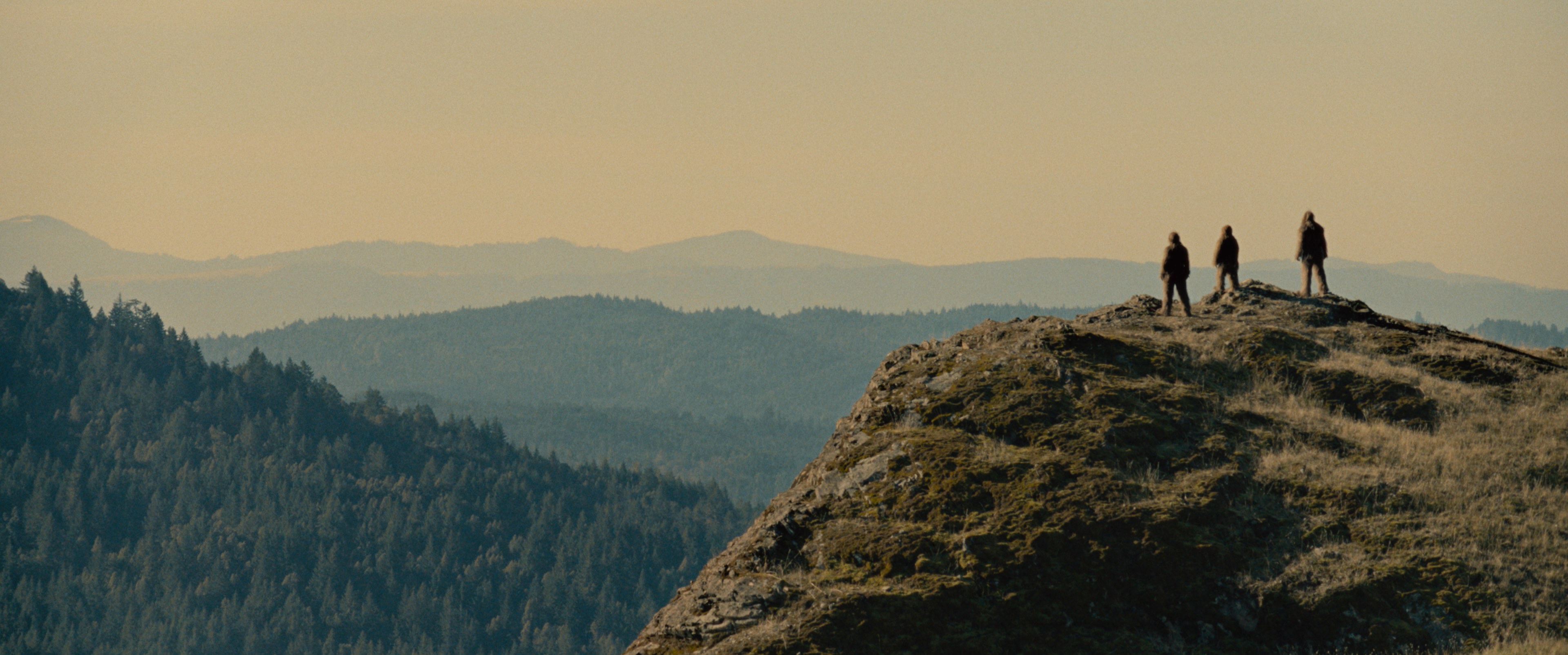 《大腳怪怪的》（Sasquatch Sunset)由《社群網戰》男星傑西・艾森柏格（Jesse Adam Eisenberg）飾演大腳怪，全片毫無對白，只憑眼神表情演繹。圖/台北電影節提供