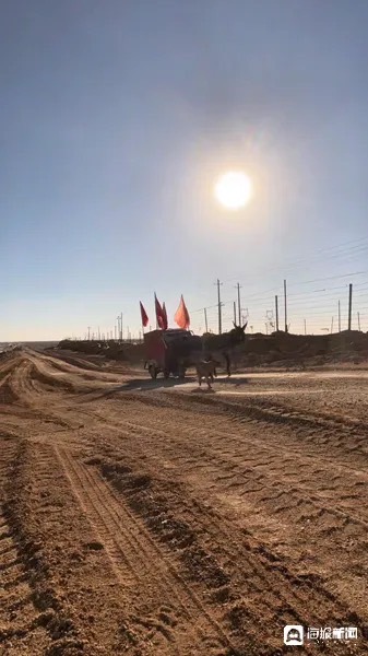 王慶海徒步旅行中的動物伙伴們。圖/取自海報新聞