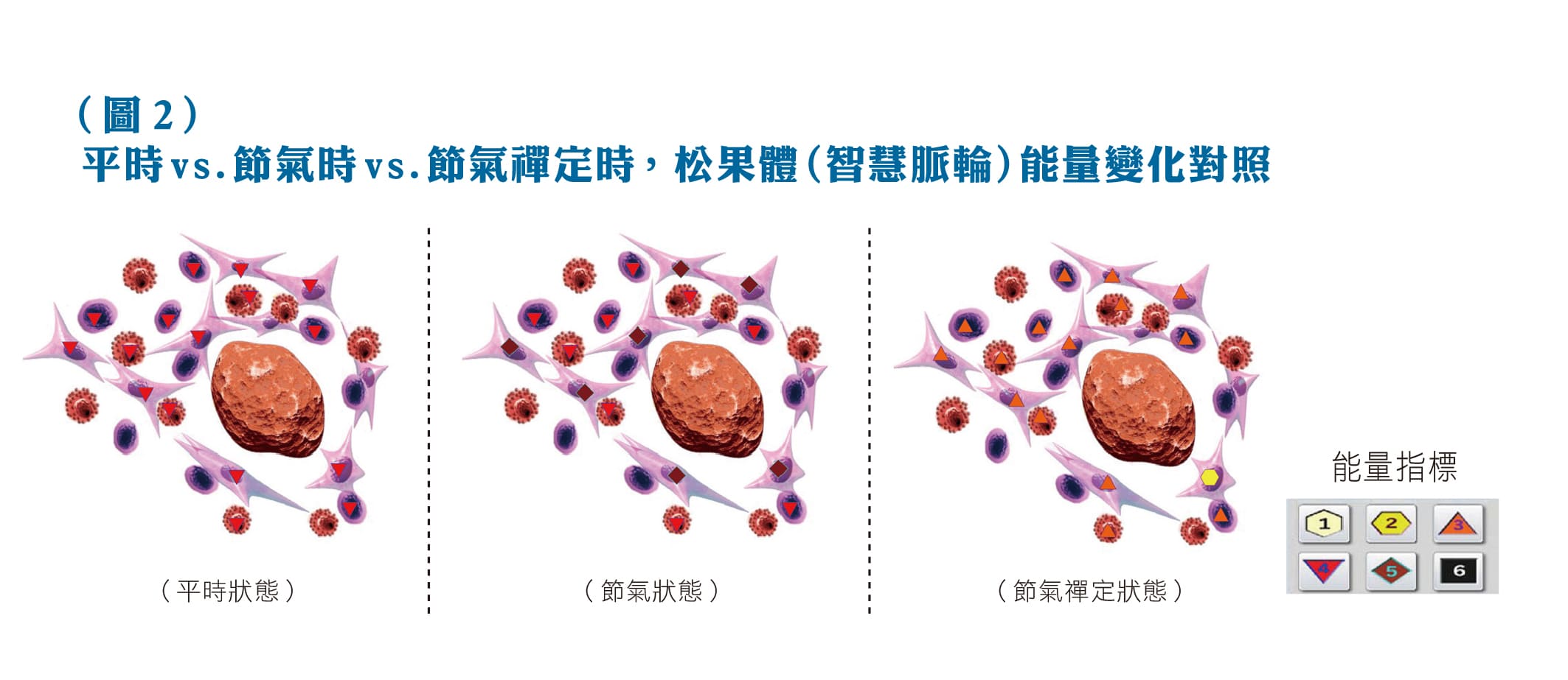 平時vs.節氣時vs.節氣禪定時，松果體（智慧脈輪）能量變化對照。