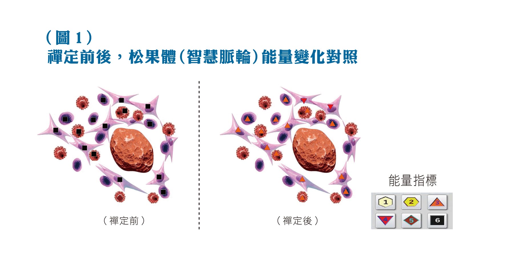 禪定前後，松果體（智慧脈輪）能量變化對照。