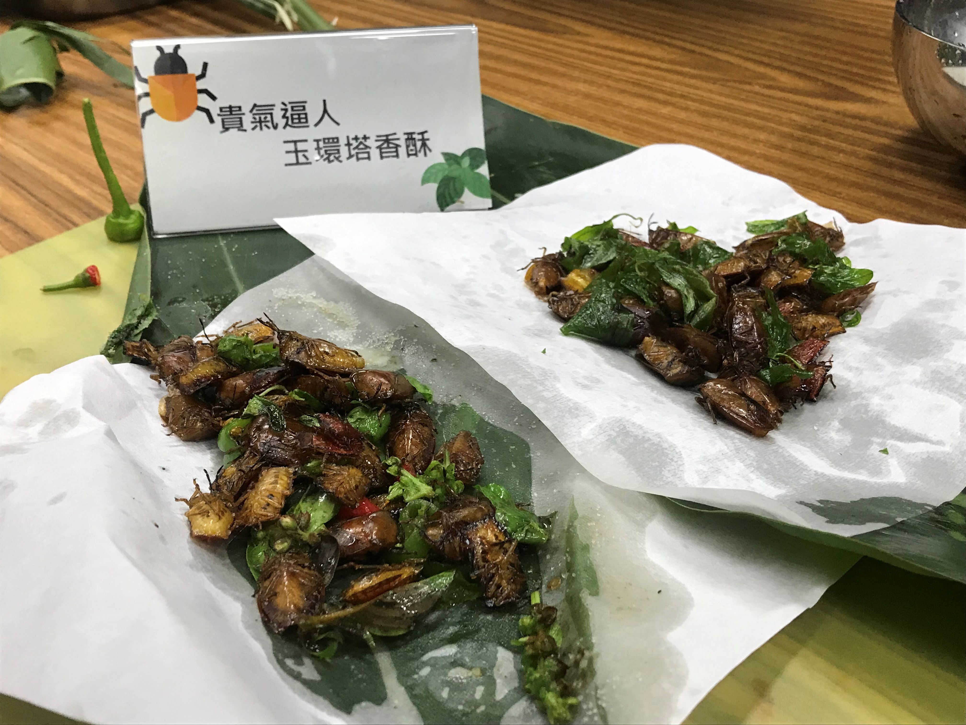 酥炸昆蟲拌炒九層塔「玉環塔香酥」。圖/取自林業及自然保育署嘉義分署官網