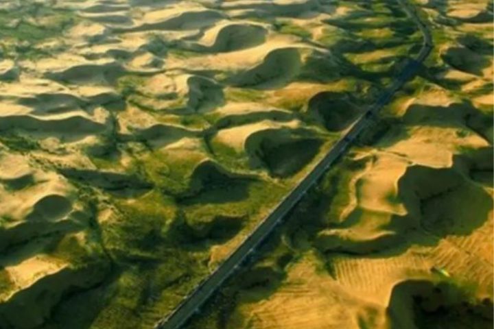 在內蒙古部分退化草場與沙化地帶，利用散養黑豬「拱地」的習性，成功改善土壤結構、促進草籽萌發。圖/取自瓴麟科技微信公眾號