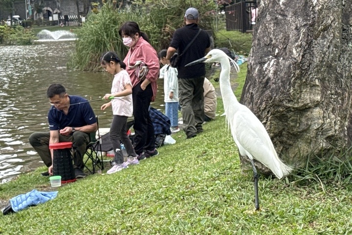 北部、東北部溫度回升明顯上看29度　午前宜花雨勢較大