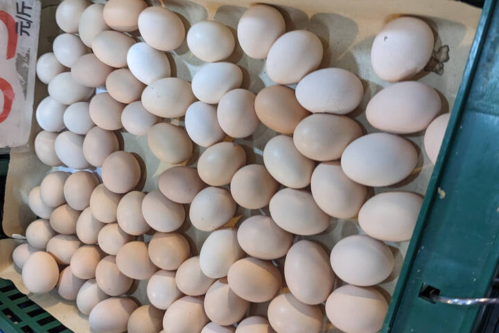 國內雞蛋目前供過於求，價格調降。圖/取自農業部官方網站