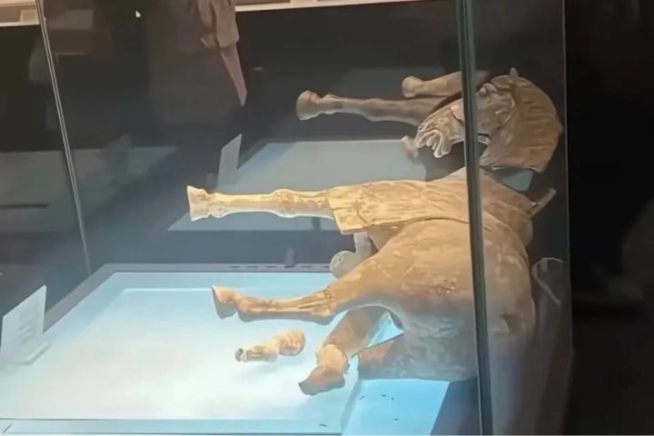 嚇人！唐代彩繪陶馬展櫃內傾倒碎裂　洛陽博物館：修復黏著劑老化