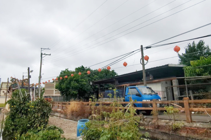 嘆情義已盡！非洲豬瘟案場特約獸醫灰心：明年起不再和畜牧場簽約