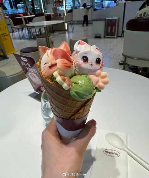 冰品巨頭哈根達斯過去標榜高價的哈根達斯，如今也加入平價競爭。圖取自鱷魚十三微博