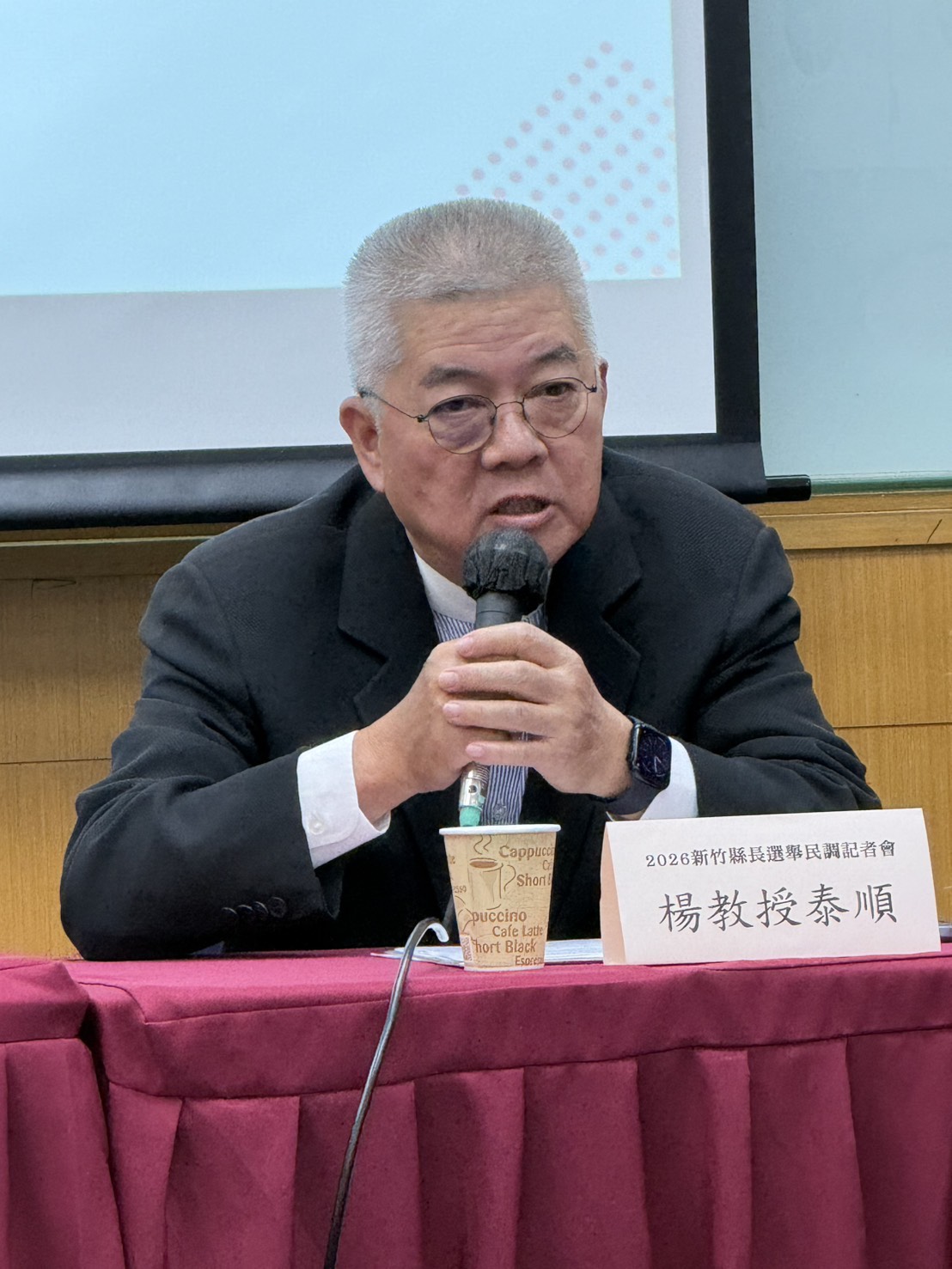 文化大學政治系特聘講座教授楊泰順。圖/記者葉紹德攝