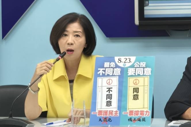 怕民眾823投錯票！藍：會加強宣傳「不同意惡罷+同意核三延役」