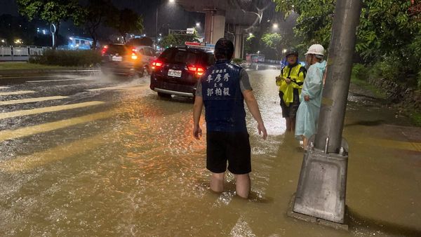 雙北雨彈炸整晚 大湖公園湖水高漲 路面被淹沒