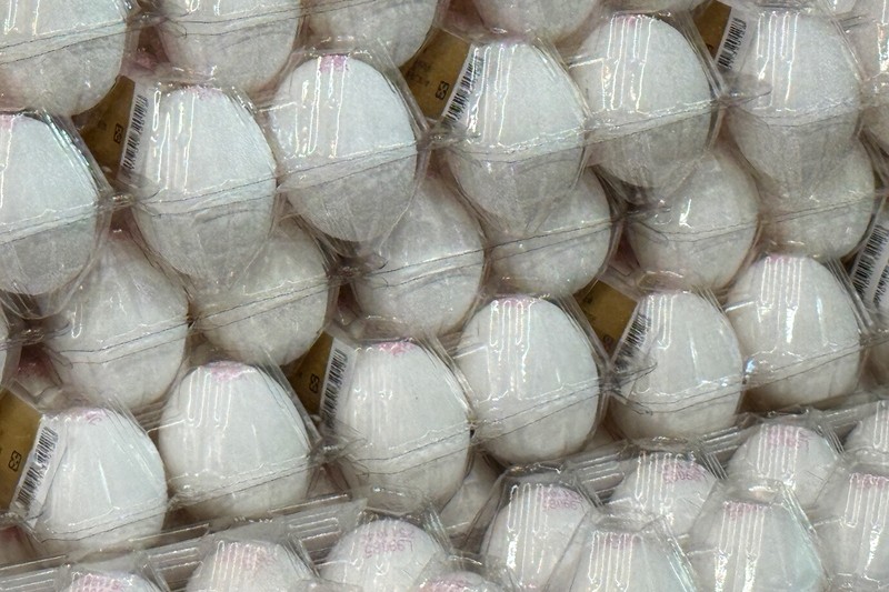 毒蛋來源牧場檢驗結果出爐　農業部：全案移由檢調偵辦