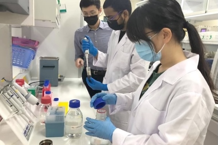 細菌能發電！高醫大李偉鵬團隊打造綠能微發電奈米革命 再獲教部肯定
