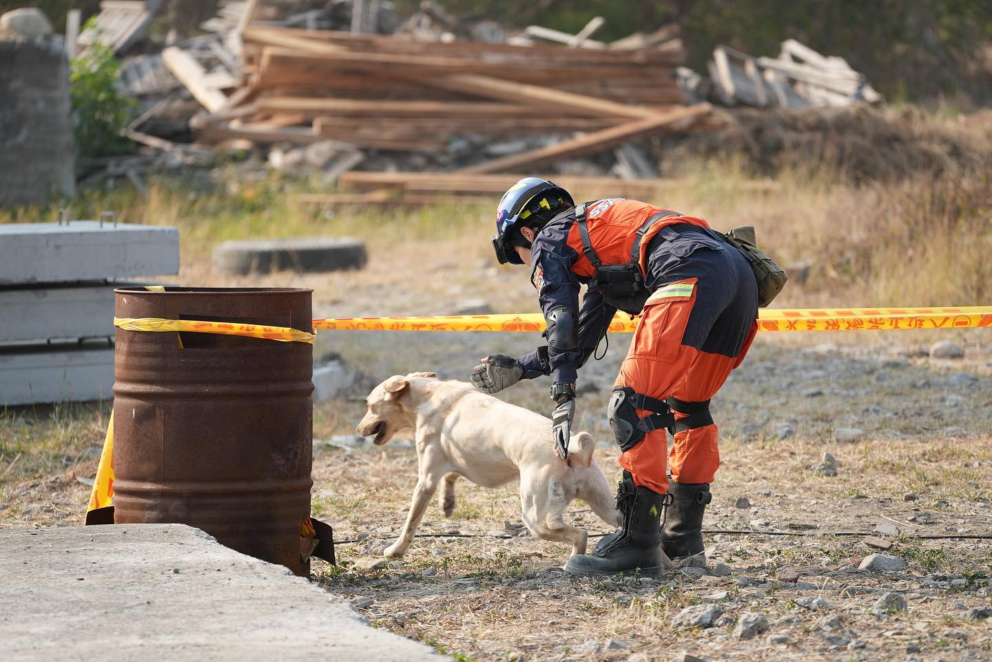 英勇的搜救犬木蘭如今已圓滿解除任務，往日救災的身影成為絕響。圖/Ntfd-K9 大埔分隊 臉書