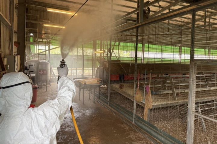 台中豐原一處蛋雞場確診禽流感，市府28日進行場內與周邊環境、牧場的消毒。圖/中央社、台中市政府提供