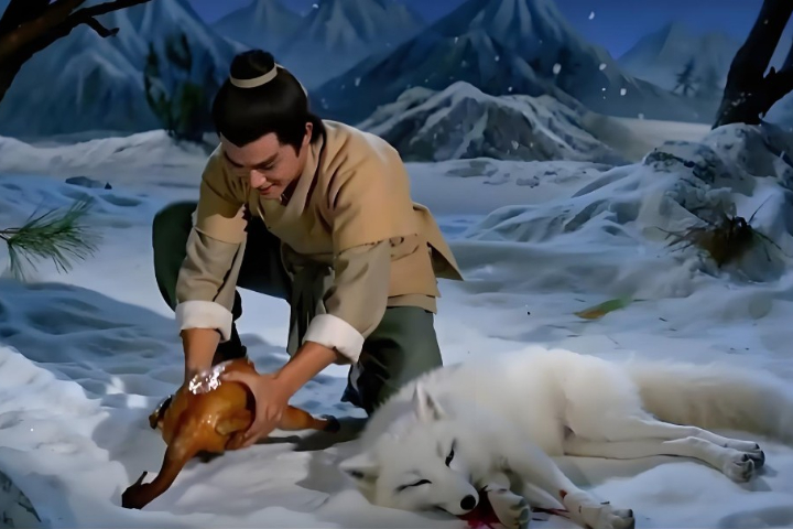 「雪山救狐狸」爆紅兩岸！國台辦推對台新菜單：歡迎來吃醬板鴨