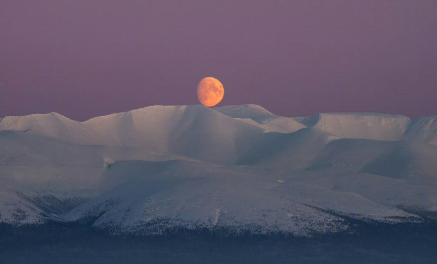 陳文茜文章的照片配上圖說，寫著：「零下40°C的西伯利亞，仍有太陽。」圖/取自文茜的世界周報 Sisy's World News