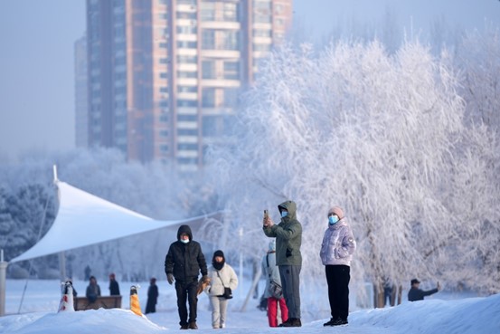 1月5日哈爾濱公休一天，大家戶外玩冰去。圖/新華網