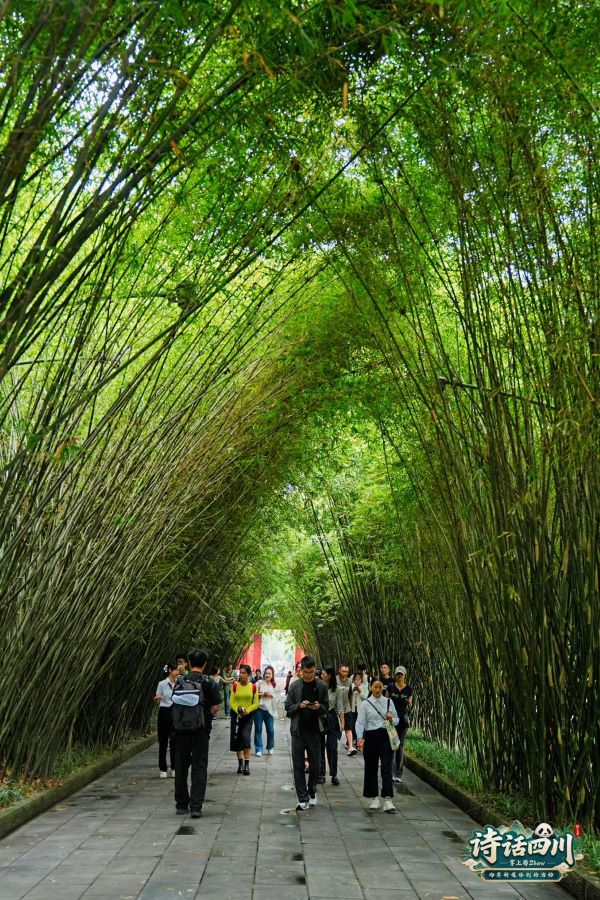 走進武侯祠，看著紅牆旁的竹影晃動，踩著一代又一代人走過的路，故事忽然就有了空間，也有了溫度。圖/「掌上蜀show・詩話四川」主辦單位提供