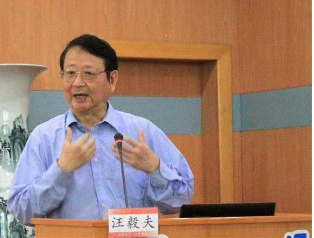 全國台灣研究會會長汪毅夫稱，國民黨頑固派和民進黨反動派都是大陸的敵人。圖/取自中國台灣網