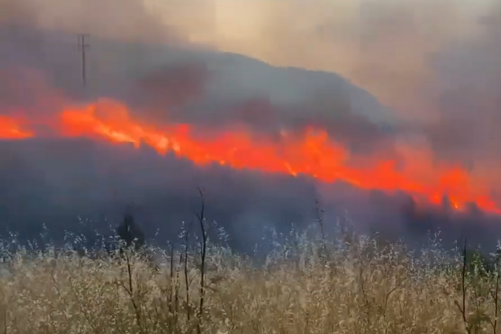 希臘第五大島爆發嚴重野火　數百消防員全器撲救72小時終受控