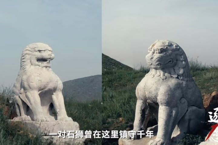 唐代石獅遭竊16年　大陸祭百萬人民幣懸賞　數位影像讓文物「重返」建陵