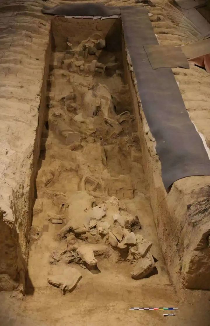 2025年秦兵馬俑二號坑發掘區域第9過洞東段。圖/取自秦始皇帝陵博物院