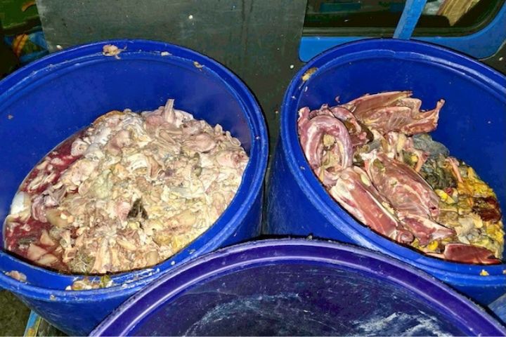 廚餘養豬禁令　日本案例財力難負擔　農業部維持三堅持