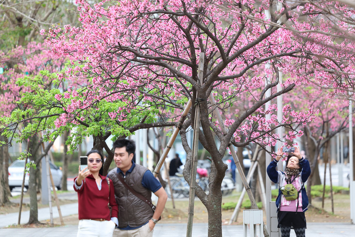 天氣穩定氣溫持續回升　東南部須留意焚風
