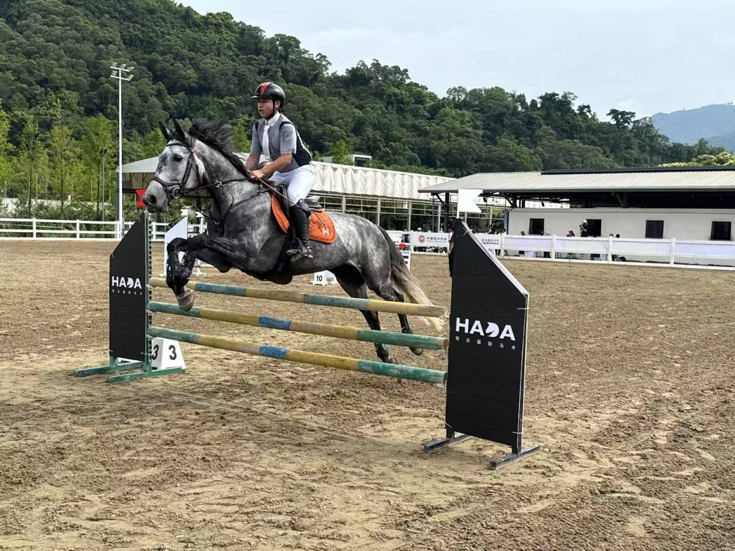 以馬術為紐帶搭建交流橋樑，通過「以馬會友」促進馬術界深度互動。圖/記者張蔭泉攝