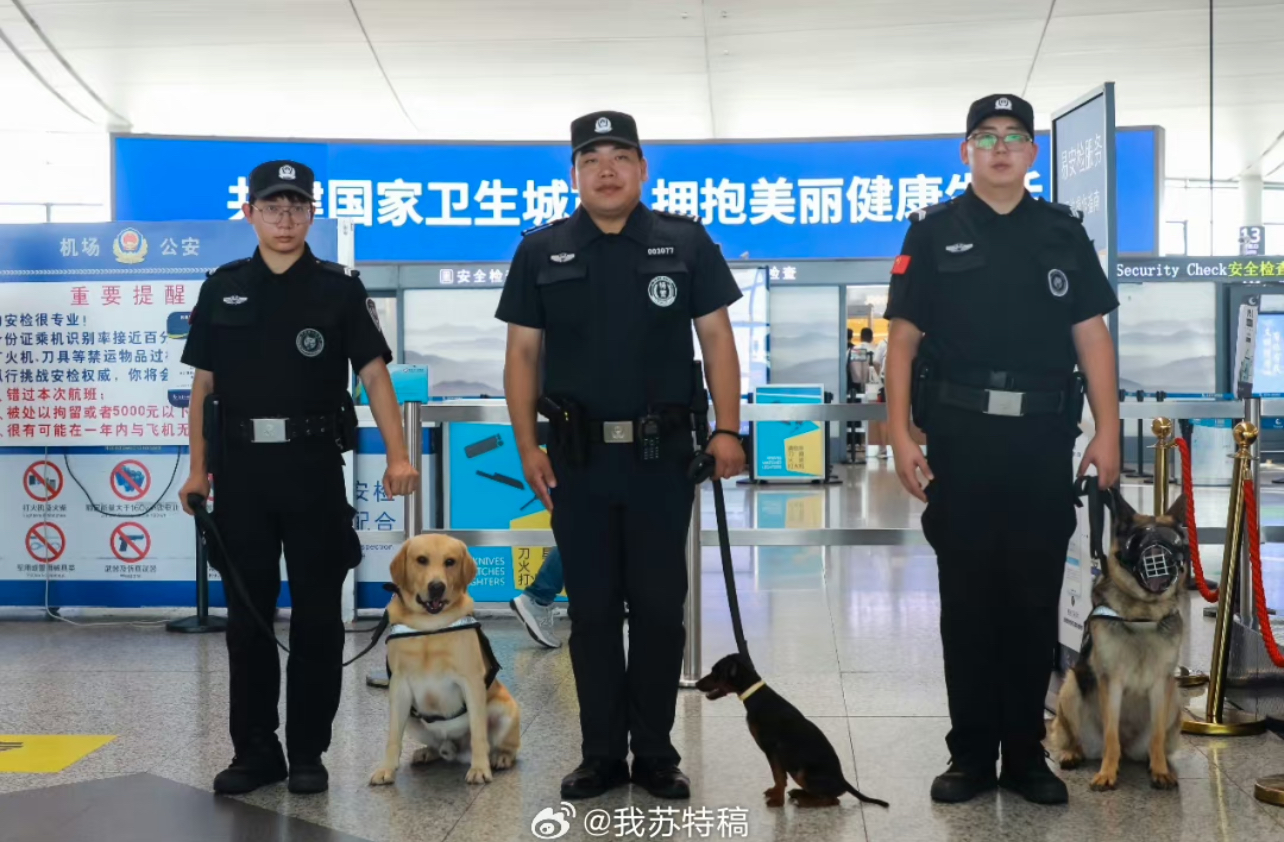 南京祿口國際機場迷你警犬「艾米麗」很容易辨識。圖/取自我蘇特稿微博