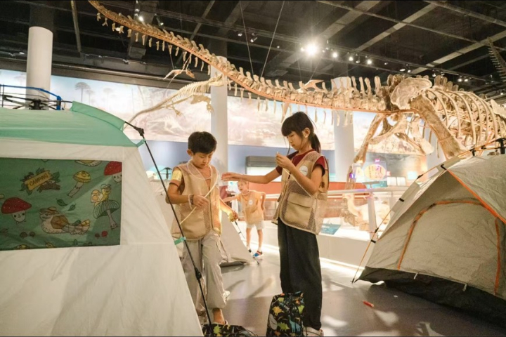  「夜宿」模式火爆  大陸遊客流行住在博物館內