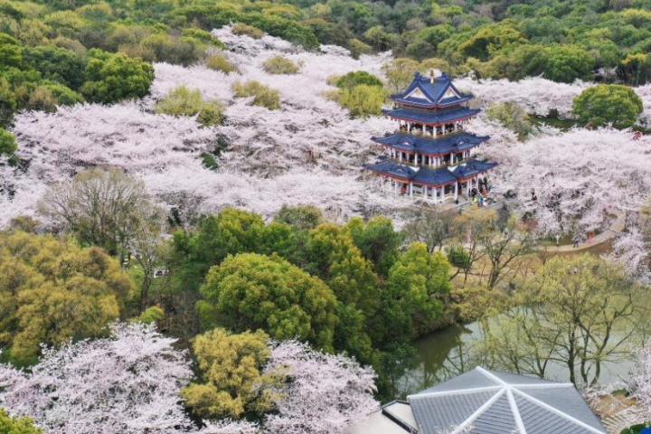  無人機拍攝的黿頭渚景區一角。圖/取自新華社