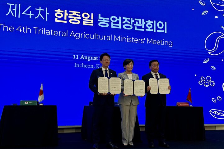 韓軍（右）、宋美玲（中）與小泉進次郎（左）會後簽署聯合聲明。圖/取自小泉進次郎《推特》官方帳號