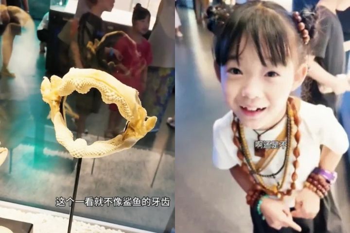 展品標識錯誤　9歲女孩勇敢糾錯　大陸海博館邀她回訪