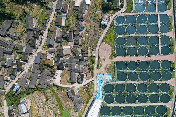 四川省雅安市天全縣水產現代化農業園區，透過無人機俯瞰鱘魚養殖基地。圖/取自中新網