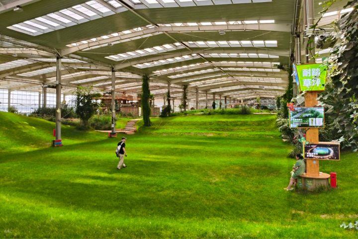 蒙草集團旗下種業中心集保種、育種、繁育、推廣及科研於一體，也是生態保護與修復的重要研發基地。圖/記者陳素貞攝